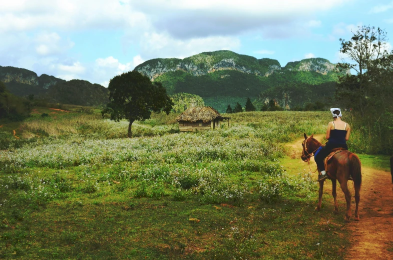 a person riding a horse down a dirt road, by Lucia Peka, green field with village ruins, cuban setting, background image, featured