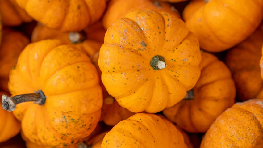 a pile of small orange pumpkins sitting on top of each other, pexels, 2 5 6 x 2 5 6 pixels, speckled, 8 k 4 k, closeup 4k