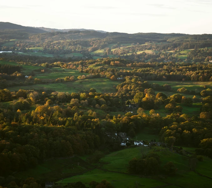 a view of a hillside and valley with many trees