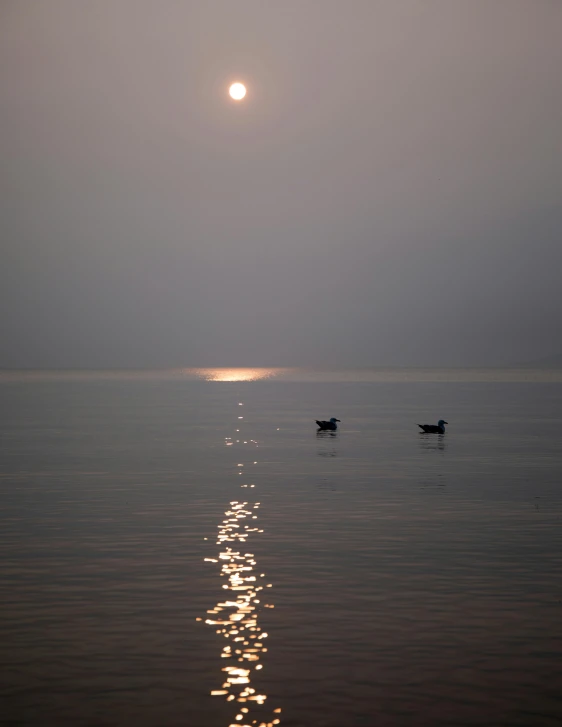 a couple of boats floating on top of a body of water, a picture, unsplash contest winner, minimalism, fire breathing geese, hazy sun and mystical, the dead sea, moonlight grey