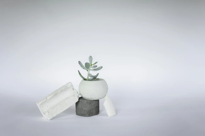 a concrete planter with one small green succulent in it