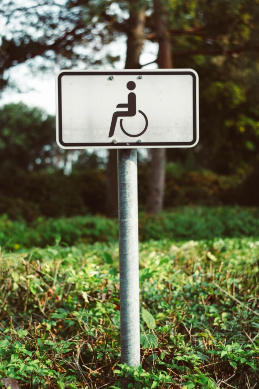 a road sign in a wooded area with a handicapped symbol on it