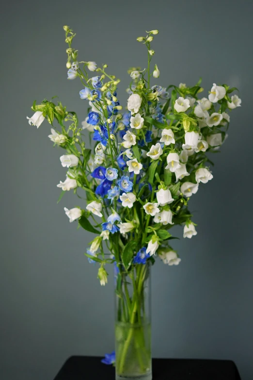 a vase filled with blue and white flowers, romanticism, with a long white, july, a stunning, entertaining