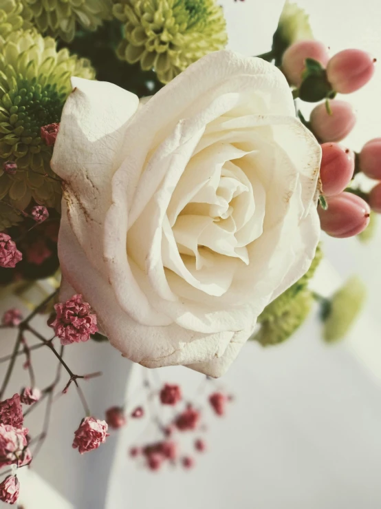 closeup of flower bouquet, white with pink and green accents