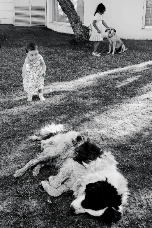 a black and white photo of a child and a dog, by Russell Drysdale, on a green lawn, full morning sun, zoo, evening time