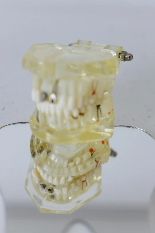 a dental model sitting on top of a glass table, dada, lot of details, - 6, zippered opening in skull, image