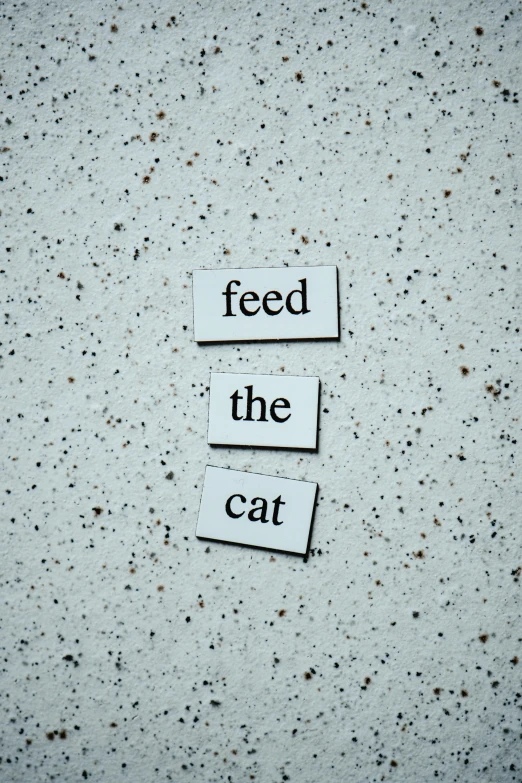 a piece of paper with the words feed the cat on it, by Emma Andijewska, trending on unsplash, concrete poetry, alessio albi, high quality photo, cereal