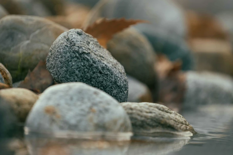 a group of rocks sitting on top of a body of water, a macro photograph, unsplash, tonalism, autumn season, grey, macro photography 8k, [ realistic photography ]