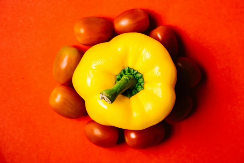 a yellow pepper surrounded by tomatoes on a red surface, inspired by Fernando Botero, unsplash, brown, chartreuse and orange and cyan, beans, light tan