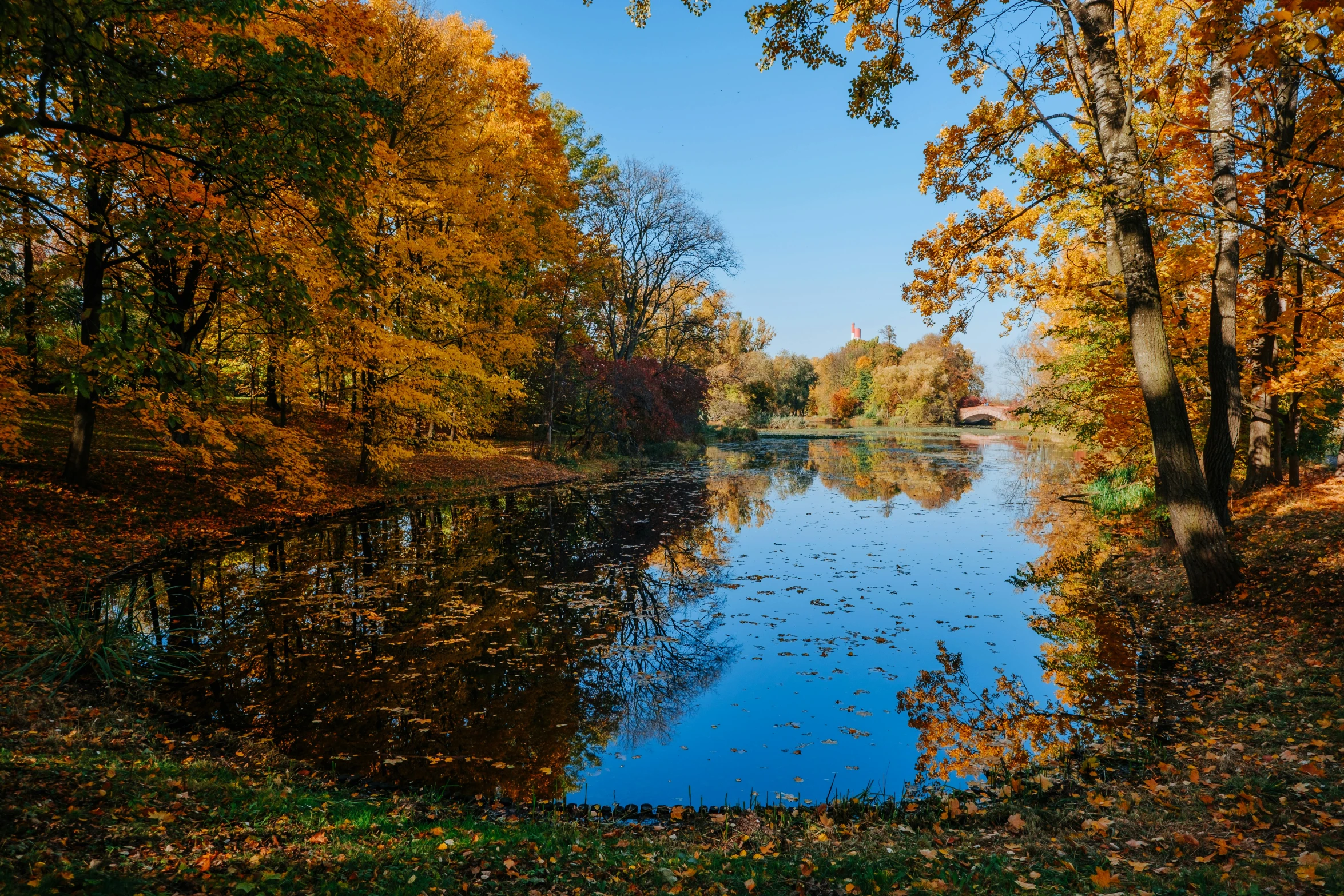 a large body of water surrounded by trees, by Sebastian Spreng, pexels contest winner, visual art, autum garden, thumbnail, hannover, beautiful day