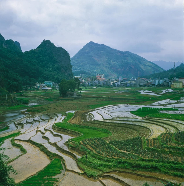 a view of a rice field with mountains in the background, by Elsa Bleda, hurufiyya, square, mai anh tran, high - angle view, grey