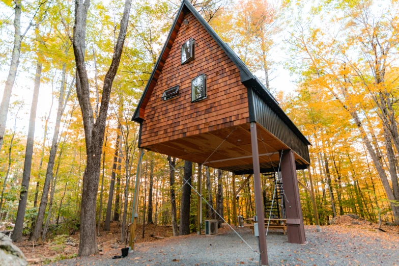 a small, wooden house in the middle of the woods