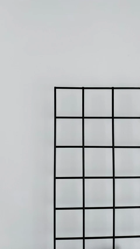 a black and white photo of a shelf in a room, a minimalist painting, inspired by Agnes Martin, unsplash, minimalism, cage, high quality photo, squares, bright thin wires