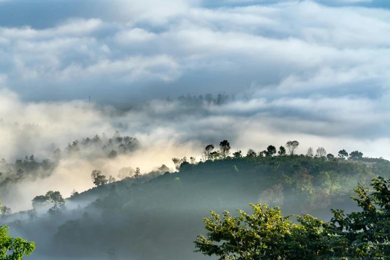 some thick clouds are rolling in on a foggy hillside