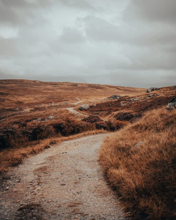 an image of a pathway through the wild land