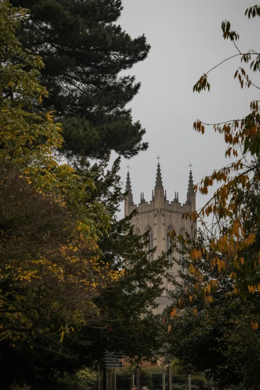 a couple of people that are standing in the grass, by Kev Walker, unsplash, renaissance, alabaster gothic cathedral, autumn foliage in the foreground, tall pine trees, bath