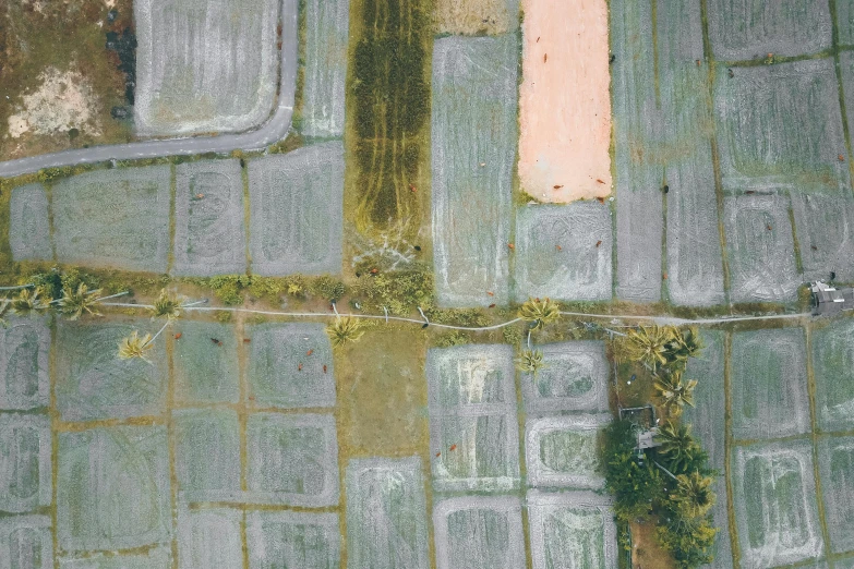 a bird's eye view of a field of crops, unsplash contest winner, conceptual art, bali, faded colors, background image, wet reflective ground