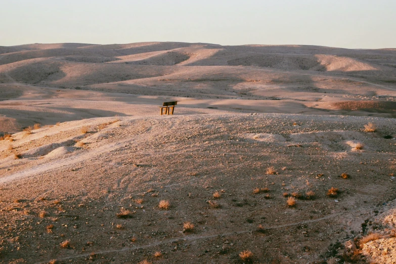 an elephant sitting on a rock in a dry landscape