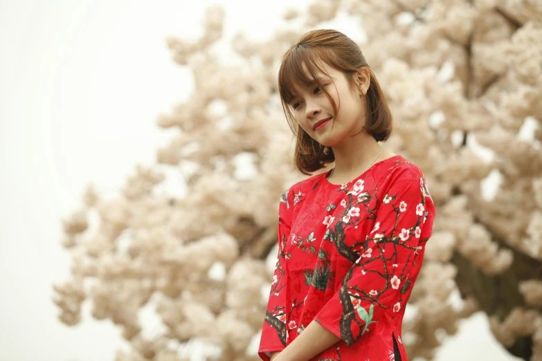 a woman in a red dress standing in front of a tree, inspired by Cui Bai, trending on pixabay, shin hanga, floral clothes, girl cute-fine-face, ethnicity : japanese, wearing a silk kurta