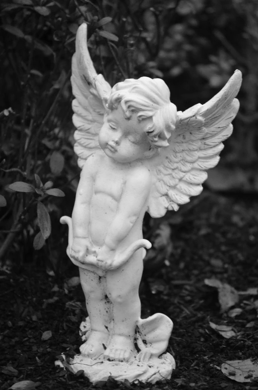 a black and white photo of a statue of an angel, pixabay contest winner, in the garden, winged boy, monochrome 3 d model, lascivious pose