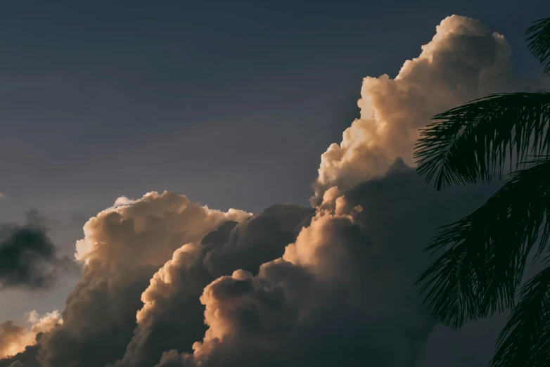 a plane flying through a cloudy sky next to a palm tree, a screenshot, unsplash contest winner, romanticism, layered stratocumulus clouds, evening storm, smoke billowing, quixel megascans