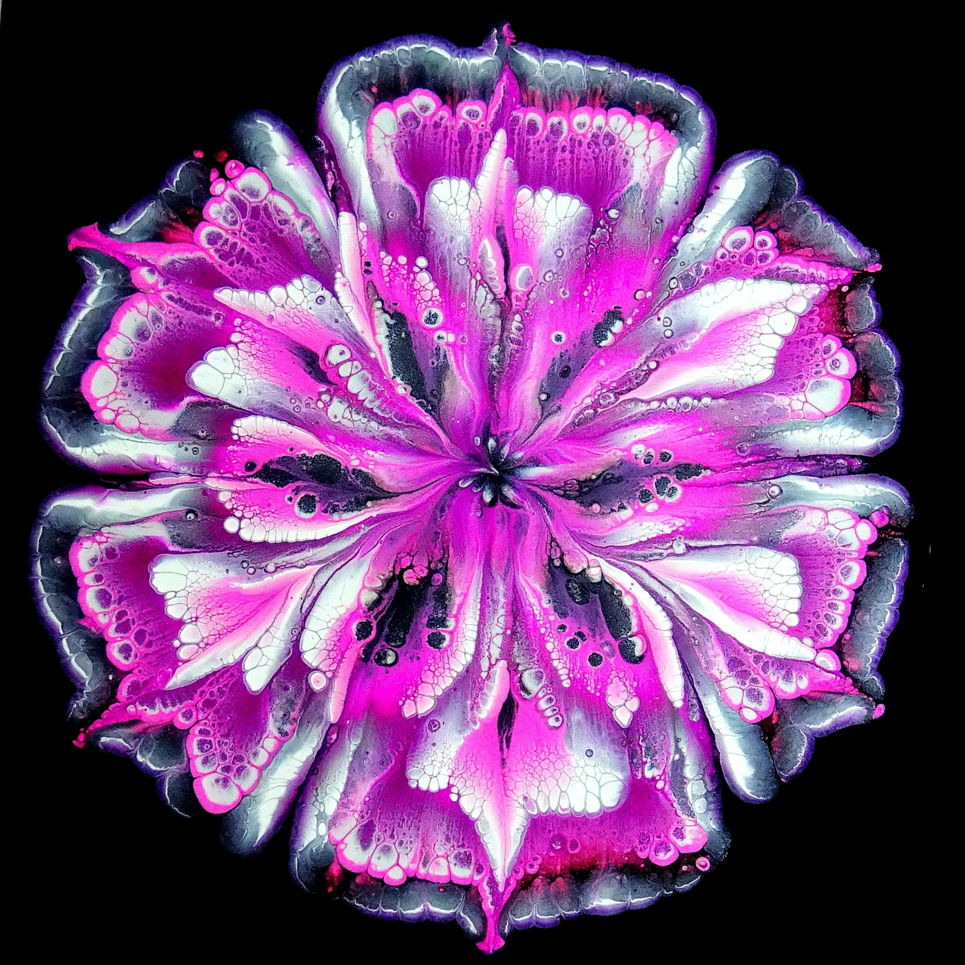 a close up of a flower on a black background, by Penny Patricia Poppycock, flickr, psychedelic art, pink and purple, drooling ferrofluid, carnation, symmetry!! concpet art