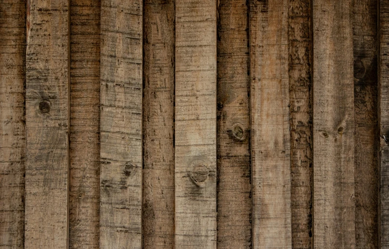 a fire hydrant sitting in front of a wooden wall, an album cover, by Peter Churcher, unsplash, renaissance, seamless wood texture, high texture detail, brown stubble, pine