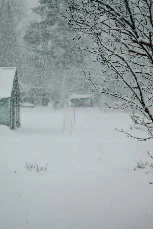 the view of a snow covered farm building through trees