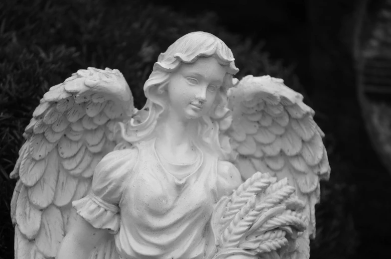 a statue of an angel holding a basket of flowers, a marble sculpture, by Marie Angel, pexels, black and whitehighly detailed, high quality image, feathery wings, portrait close up