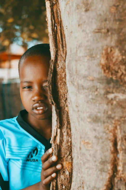 a boy in a blue shirt hugging a tree