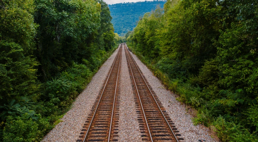 a train track running through a lush green forest, looking over west virginia, left right symmetry, 2019 trending photo, 2000s photo