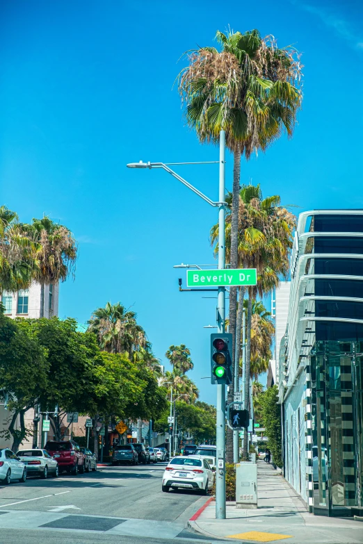 a busy intersection with trees and cars on a clear day