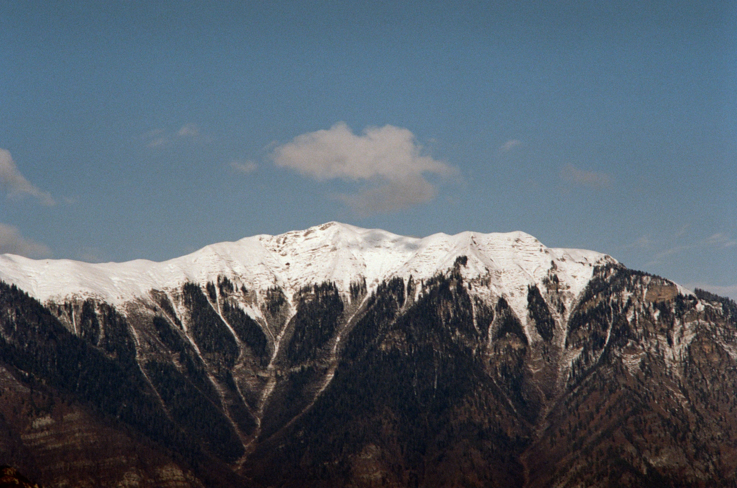 a snow covered mountain rising above the trees