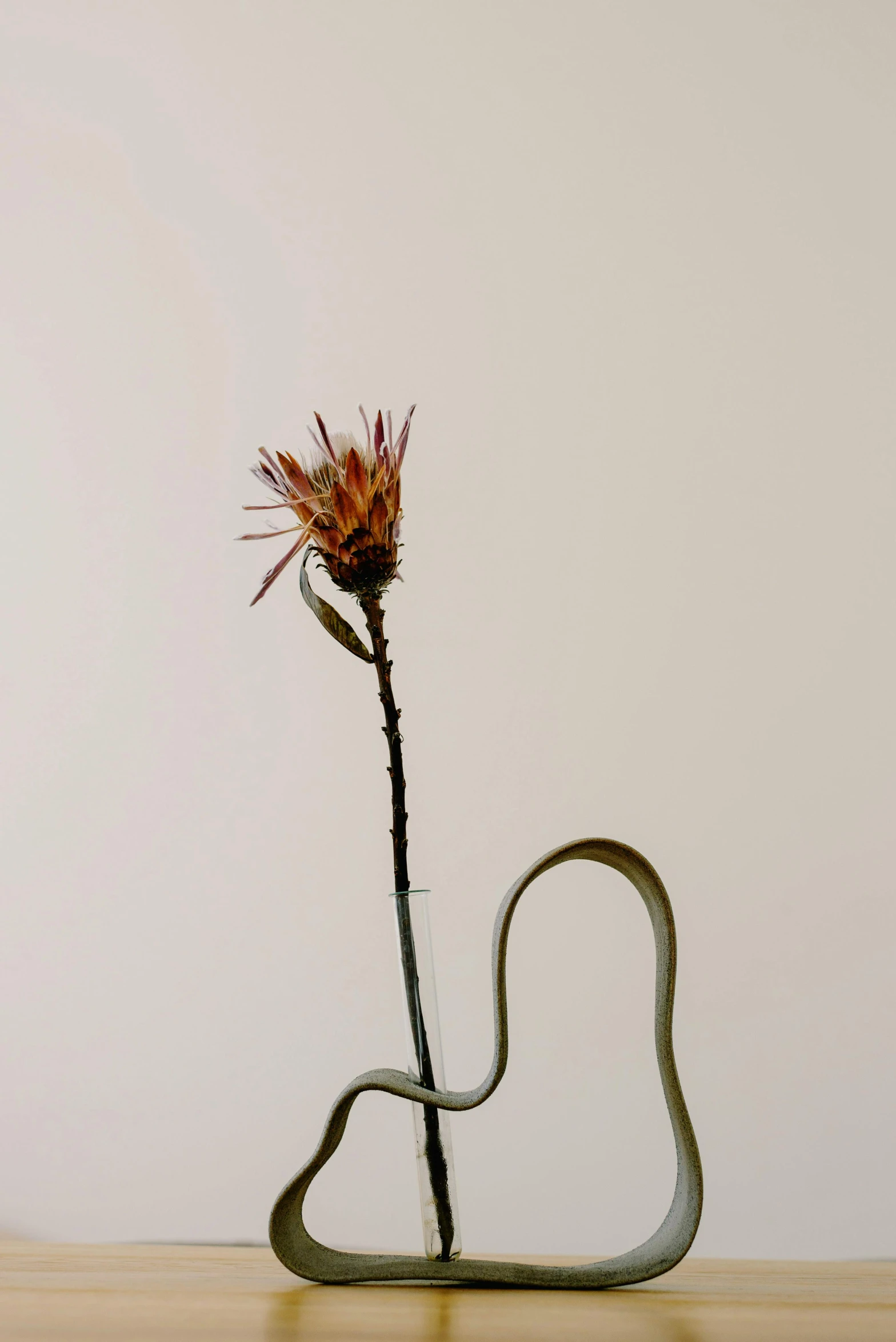 a close up of a flower in a vase on a table, an abstract sculpture, by Rebecca Horn, conceptual art, wiry, sparse plants, shot on sony a 7, made of dried flowers