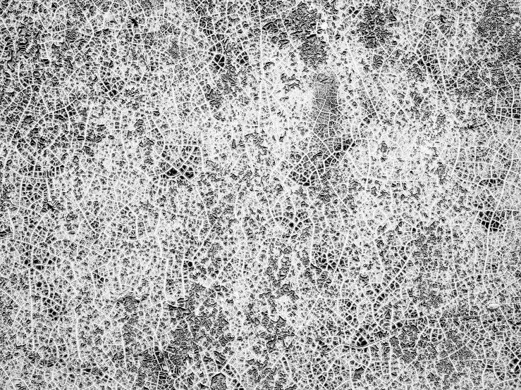 a black and white photo of a wall, a stipple, generative art, lace web, high resolution scan, broken leaking cell wall, fine foliage lace