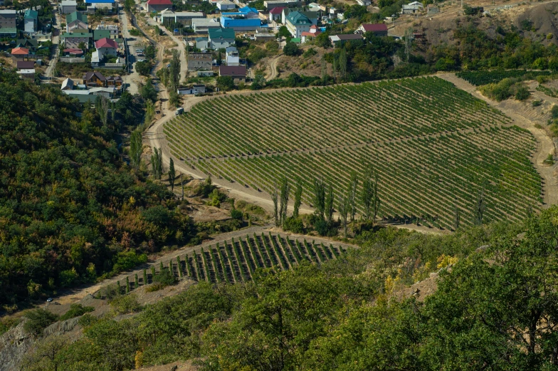 an aerial view of the town surrounded by trees