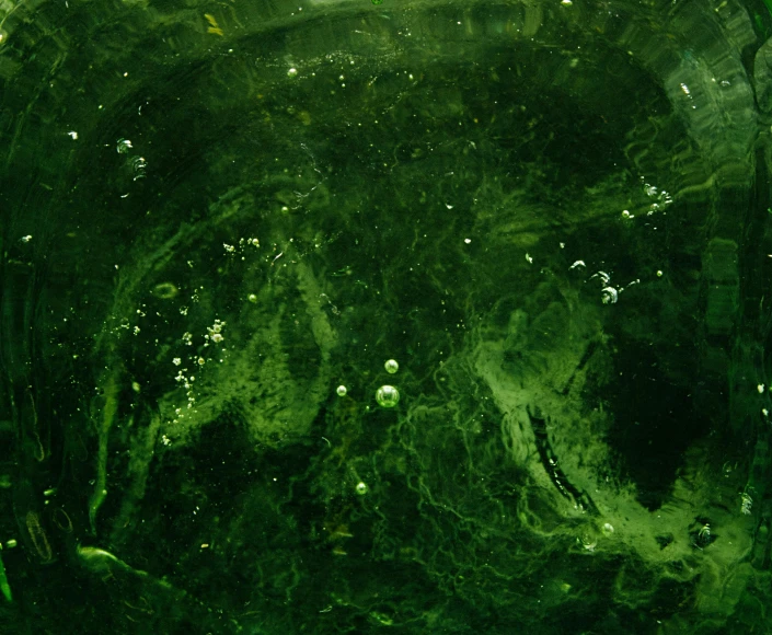 a fish that is swimming in some water, an album cover, inspired by Art Green, pexels, abstract expressionism, green slime, resin art, dark green, glass texture