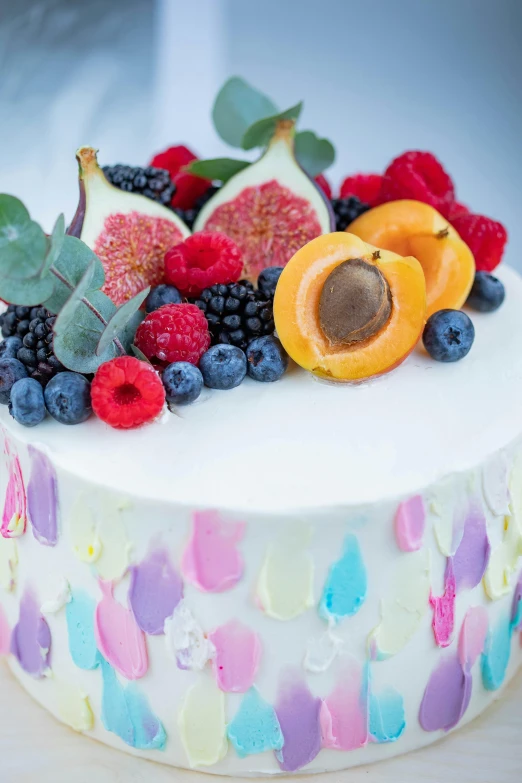 a close up of a cake with fruit on it, a pastel, botanicals, splashes, most popular, oasis infront