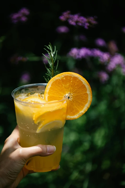 a person holding a glass of orange juice, botanicals, grey mist, summer vibrance, half moon