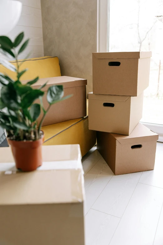 a living room filled with boxes and a plant, product image, small, thumbnail, hives