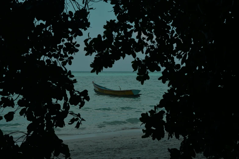 a boat floating on top of a body of water, by Elsa Bleda, unsplash contest winner, romanticism, jamaica, under the soft shadow of a tree, it's getting dark, medium format. soft light
