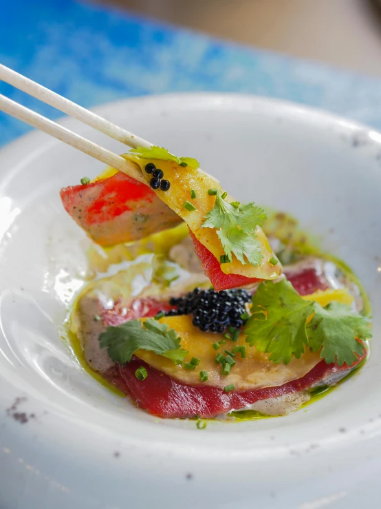 a close up of a plate of food with chopsticks, inspired by Barthélemy Menn, colorful fish, square, plating, thumbnail