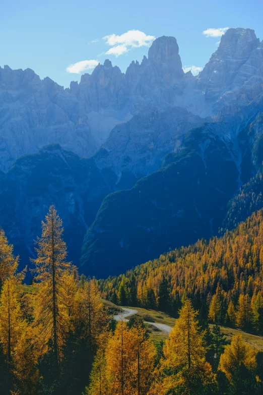 a view of the mountains from the top of a hill, by Carlo Martini, pexels contest winner, autumn color, dolomites, spruce trees, road