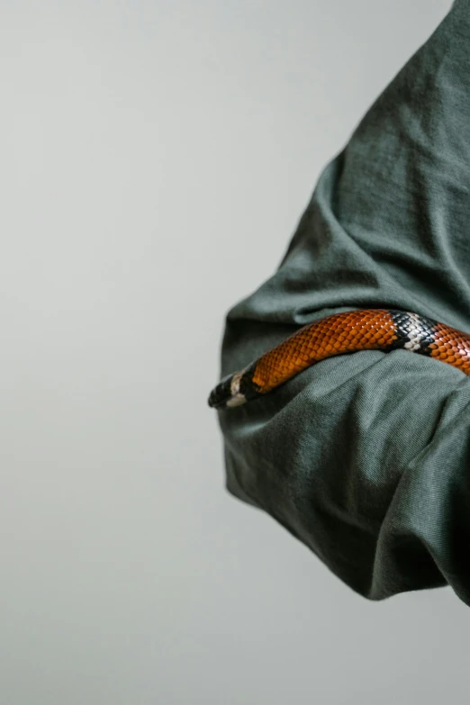 a close up of a person wearing a belt, trending on pexels, visual art, holding a snake, folded arms, colour photo, reptil