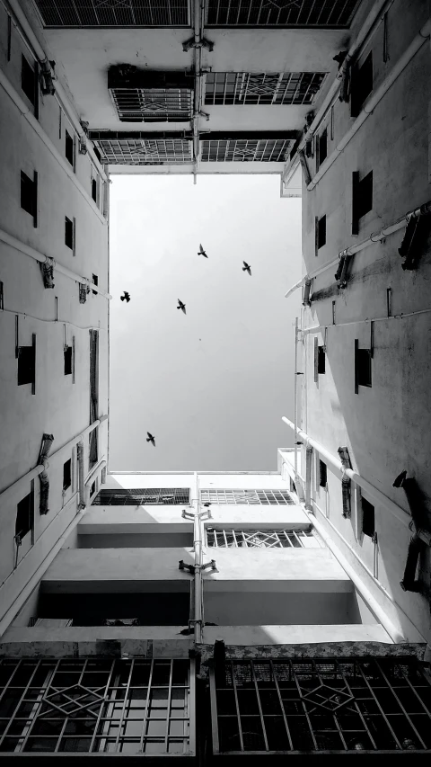 a black and white photo of the inside of a building, inspired by André Kertész, unsplash contest winner, conceptual art, birds on sky, old jeddah city alley, dezeen, jail
