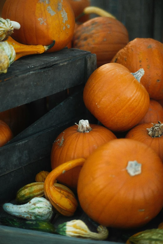 a pile of pumpkins sitting on top of a wooden crate, unsplash, 2 5 6 x 2 5 6 pixels, multiple stories, adi meyers, slide show