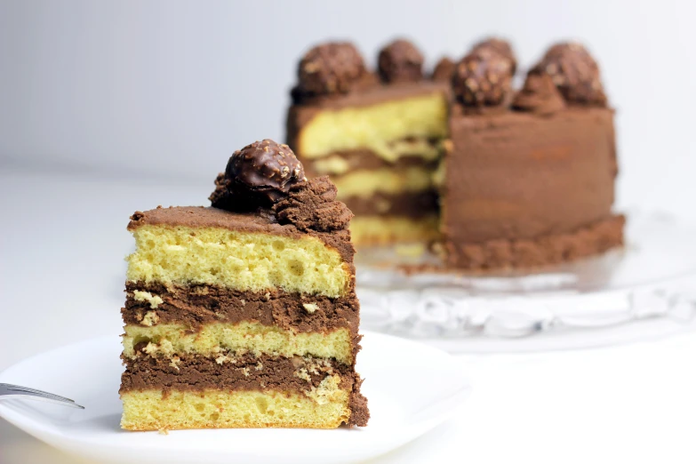 a piece of cake sitting on top of a white plate, by Winona Nelson, pexels, rococo, chocolate frosting, many golden layers, spherical, pastelle