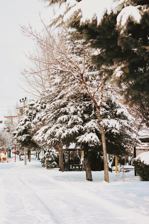 a man riding a snowboard down a snow covered street, a photo, by Whitney Sherman, trending on unsplash, fine art, trees. wide view, town square, wyoming, background image