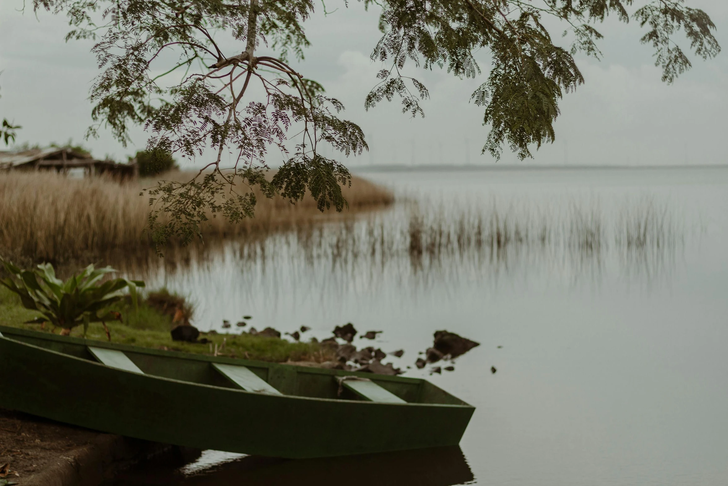 a green boat sitting on top of a body of water, pexels contest winner, visual art, grey, cottagecore, desktop wallpaper, grass and water