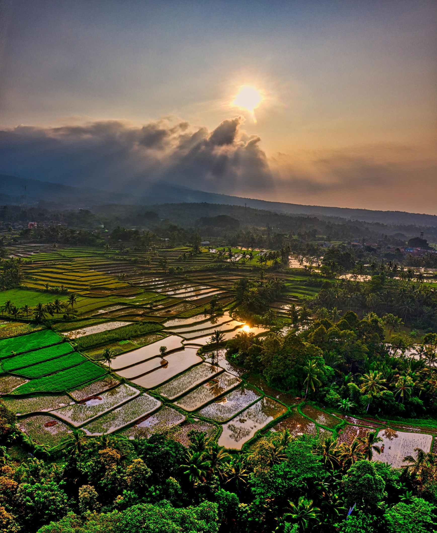 the sun is setting over a rice field, by Daren Bader, pexels contest winner, sumatraism, overlooking a valley with trees, square, ariel view, rain lit